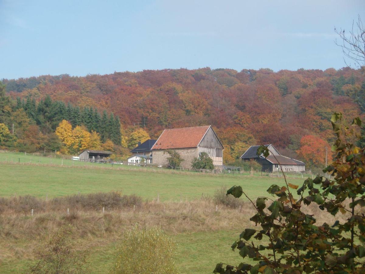The Little Stone House Villa Blankenheim  Exterior photo